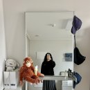 🪞 이케아 호베트 전신 거울, 비아크 HS1 거울 거치대 구매후기 (배보다 배꼽이 더 큰 소비)