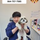 사랑해요동물병원 이미지