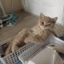취향실 | [공지] 후기, 난 나를 보낼게 네게