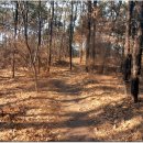 독정2리 이미지