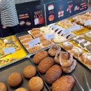 더마레 104 이미지