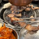 디나인84 이미지