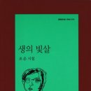 조은꽃 이미지