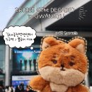 쿠ing | 데이식스 광주 콘서트 후기 김대중컨벤션센터 5구역 시야 플로어 시야 260315 더 데케이드 광주