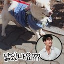 팅커벨 이미지