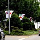 강남-137 이미지