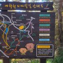 예향의 숲 이미지