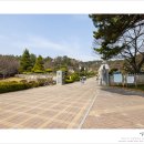 충혼탑 주차장 주변 이미지