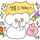 BG독케어센터 네이버블로그
