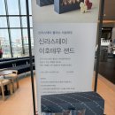 플러스비 | 제주 신라스테이 플러스 이호테우, 비투숙객 수영장 이용 후기