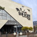 춘천명종닭갈비&교동면옥 | 교동면옥&amp;춘천 명종닭갈비, 숯불닭갈비가 일품