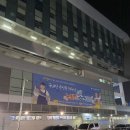 화남수산 | 노량진 수산시장 횟집 추천 손선장, 초장집 일번지회양념 내돈내산