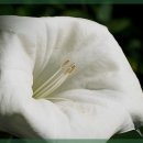 나만의 데일리 메이크업 이미지