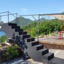 게으른 악어 이미지