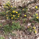 갤럭시민박 이미지