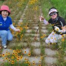 부경골프 이미지