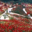 장미원입구 이미지