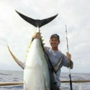 DC마트할인매장 이미지