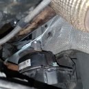 카데렐라 이미지