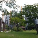 세곡-103 이미지