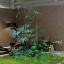 오스테리아 다니 이미지