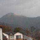 카페올린 Daum카페