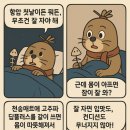 천송헬스케어 이미지