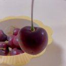 퐁치커피익스프레스부산사하점
