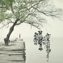 선지그리다 이미지