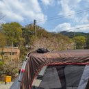 트리온팜(주) | 캠핑장 리뷰 (청양고운힐링팜)