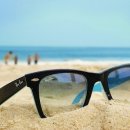 희망의 나무 休 이미지