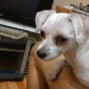 버스종점 이미지