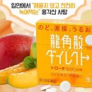 일본 용각산 효능, 성분 & 분말형, 스틱형, 캔디형, 사탕 가격 이미지