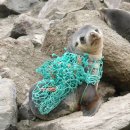 클린바이 이미지