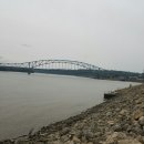 중부뜰목장 | 미시시피 강가에서 1.(여행후기)