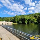 과천위버필드단지내 공인중개사사무소 이미지