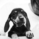 몽몽이# 이미지