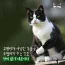 백월유통 이미지
