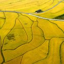 송산2리 이미지