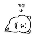 유기화