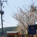 양지뜸펜션 이미지