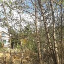 미단시티부동산공인중개사사무소 이미지