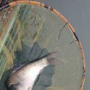 동화낚시터 이미지