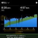 점섬운동장 이미지