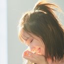 혼다 츠바사 카카오 검색결과