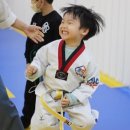 골든킥태권도장 이미지