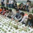 박철수농장 이미지