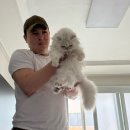 고양이 무마취미용&호텔 무냥무냥 부산서면점 이미지