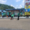 우리가 Green  이미지