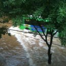 현재 서울및 수도권 상황[17시04분] 이미지